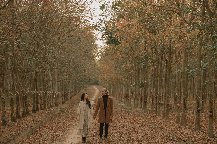 Cần gì đi Hàn, sát Sài Gòn cũng có nơi check-in lá vàng lãng mạn ‘rụng tim’ - 7