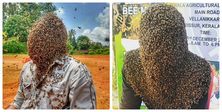 Nổi gai ốc chàng trai ‘người ong’: 60.000 con ‘làm tổ’ trên mặt vẫn không hề hấn - 3