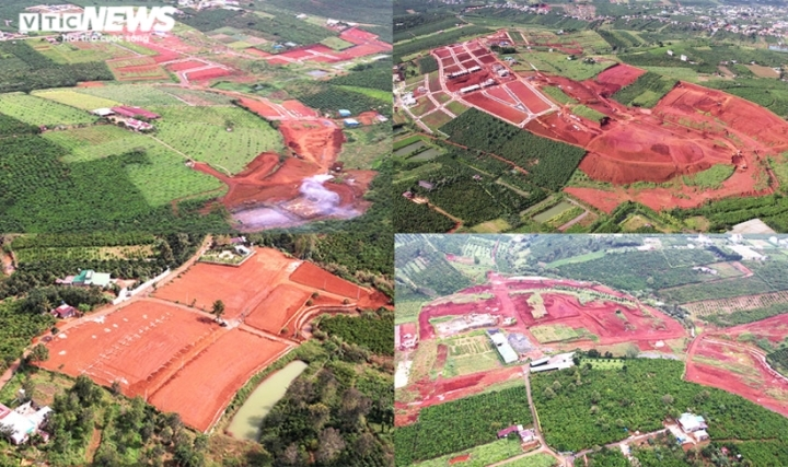 Bất động sản Việt Nam 2021: Sốt đất khắp nơi, giá tăng chóng mặt - 4