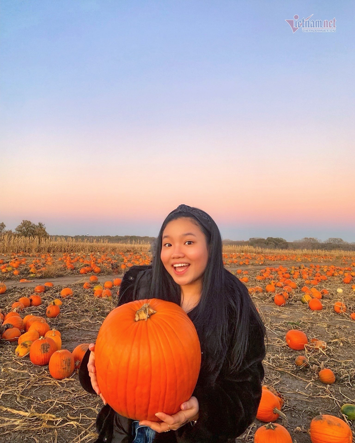 Nữ sinh 10X có báo cáo khoa học đầu tay trên website của Đại học Harvard - 2