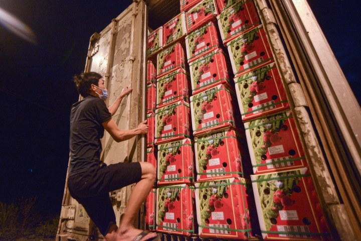 Đến lượt thanh long tắc biên được bán 'xả hàng', có nơi giá 3.500 đồng/kg - 3