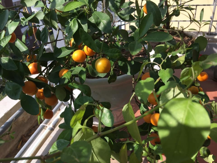 Cuộc sống an yên tuổi 73 của 'giọng đọc huyền thoại' NSƯT Kim Tiến - 14