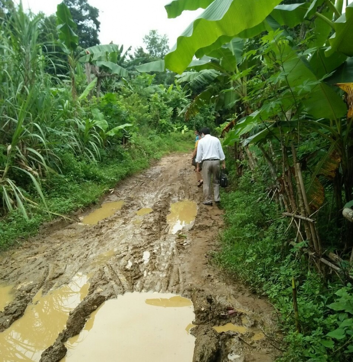Giáo viên dạy trực tuyến: 'Hai năm học nhiều khi cười ra nước mắt với học sinh' - 2