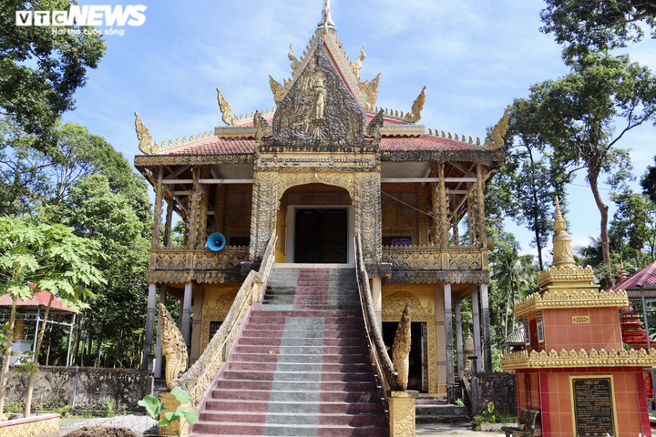 Ảnh: Ngôi chùa trăm tuổi ở miền Tây có đàn vạc đến ở nhờ hơn 2 thập kỷ - 2