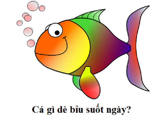 Cá gì dè bỉu suốt ngày? - 1