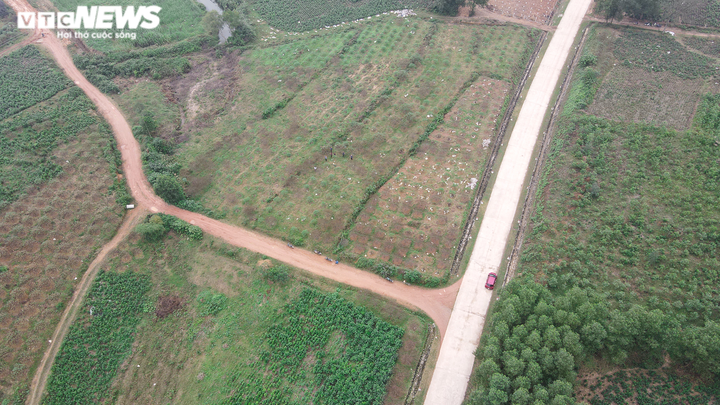 Ảnh: Nông dân Hà Tĩnh bận rộn với nghề ‘tuốt lá ra tiền’ - 9