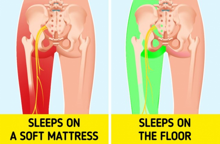5 lợi ích lớn của thói quen ngủ dưới sàn nhà - 4