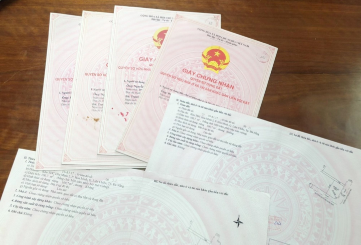 Bắt nhóm tráo sổ hồng lừa đảo hàng tỉ đồng ở nhiều nơi - 2