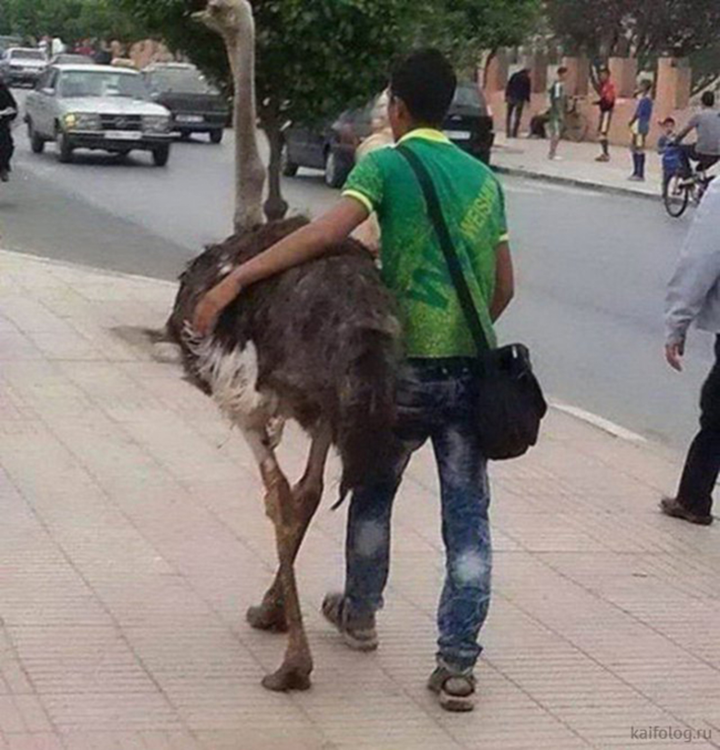 Những hình ảnh chứng minh con người thật kỳ lạ, chuyện gì cũng có thể làm được - 10