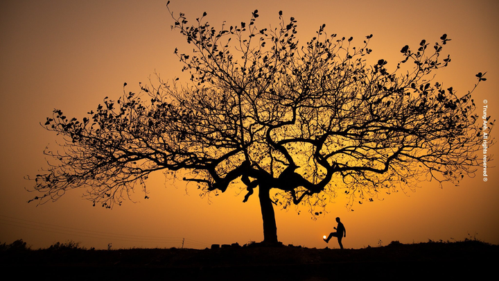 Chill cùng cây bàng cô đơn ở ngoại thành Hà Nội, lên ảnh đẹp đến 'rụng rời' - 10