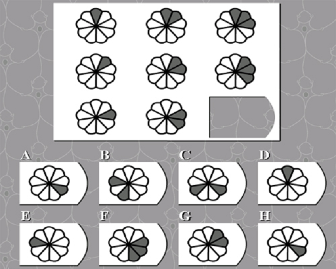 10 giây, thách bạn tìm ra hình phù hợp để ghép vào chỗ trống - 1