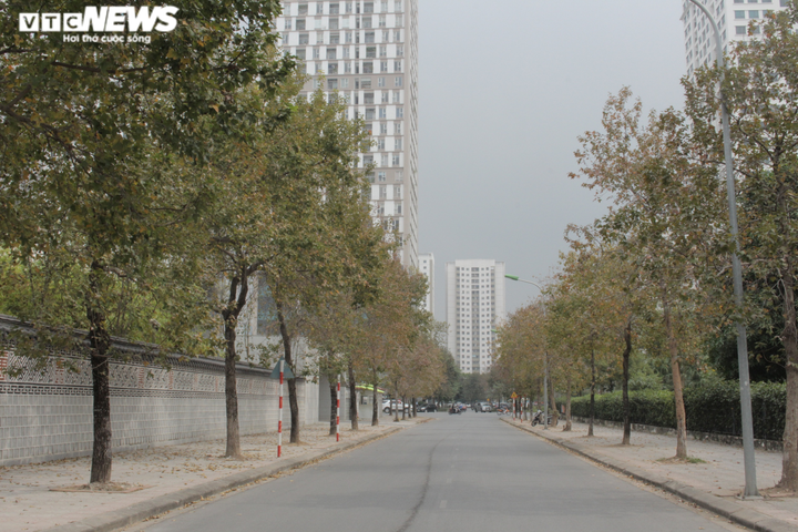 Sự thật con đường phong lá đỏ đẹp như Hàn Quốc ở Hà Nội - 3