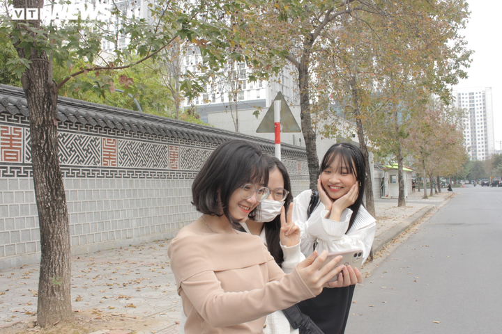 Sự thật con đường phong lá đỏ đẹp như Hàn Quốc ở Hà Nội - 10