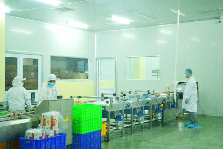 Richy – Hoàng Mai: 3 năm liên tiếp lọt top đầu ngành Thực phẩm, Bánh kẹo Việt - 4