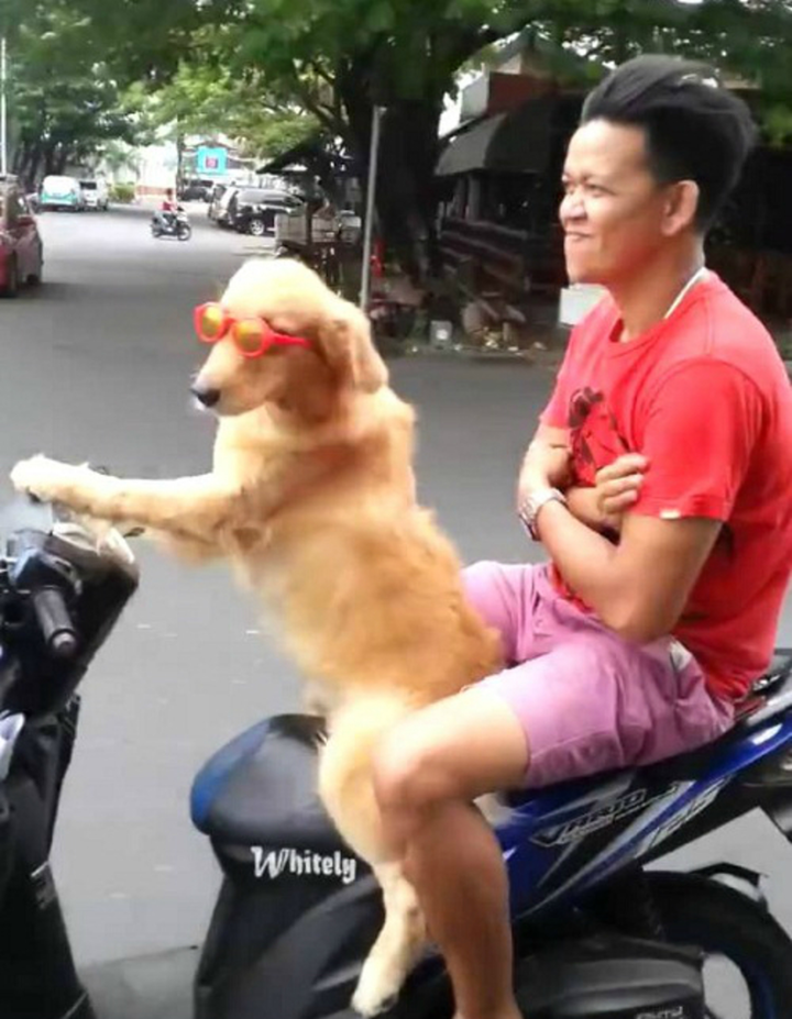 'Rớt tim' với phong cách lái xe của hội 'mê tốc độ', người ngồi sau chỉ có xỉu - 7