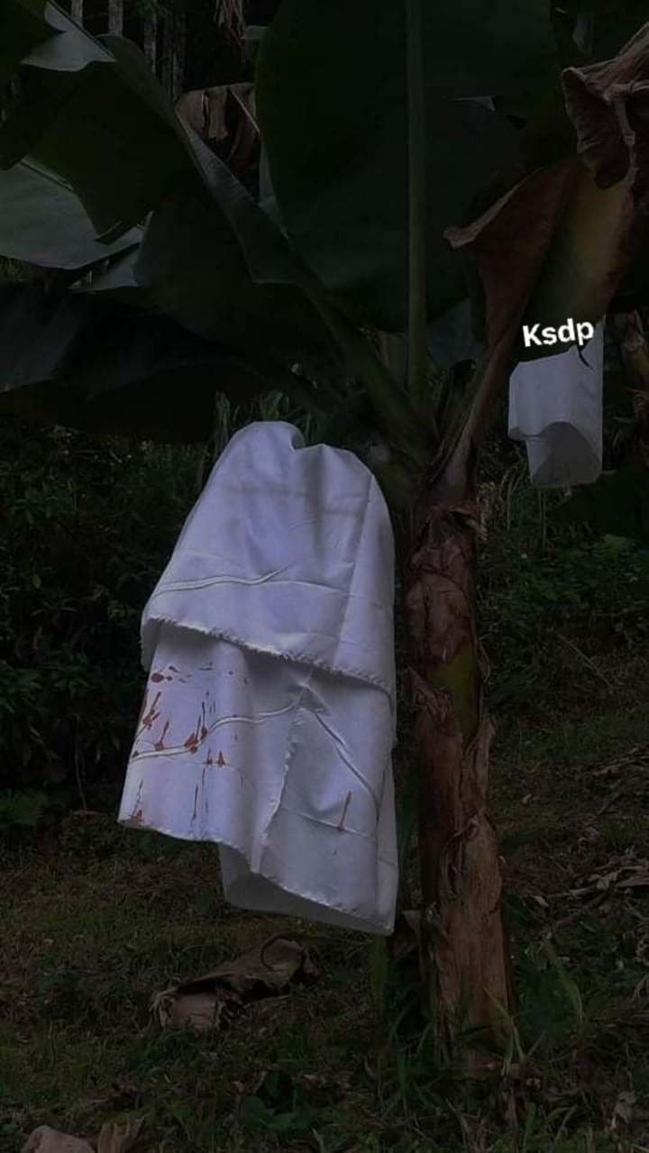 ‘Bóng trắng’ ẩn hiện ở vườn chuối khiến tài xế 'run lẩy bẩy', dân mạng xanh mặt - 4