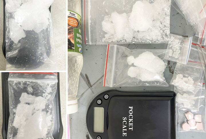 Trùm ma túy nuôi chó giữ cảnh giới, tuyên bố 'công an không bao giờ bắt được' - 2