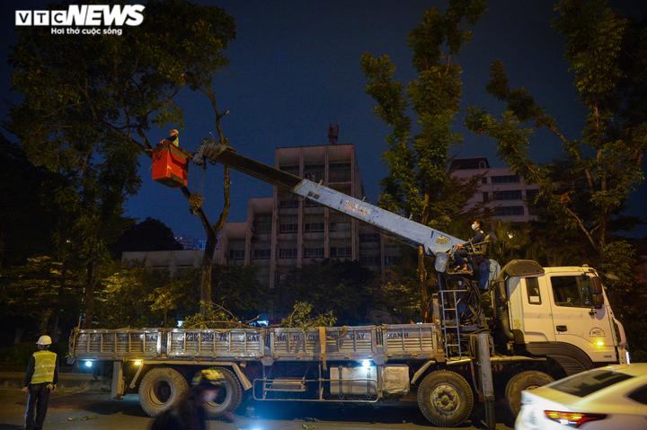 Trắng đêm di dời, chặt hạ 400 cây xanh, mở rộng đường Hoàng Quốc Việt ở Hà Nội - 3