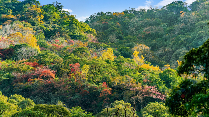 Nam Kang Ho Tao - ngọn núi có tên lạ, hiểm trở nhưng hấp dẫn bậc nhất Tây Bắc - 5