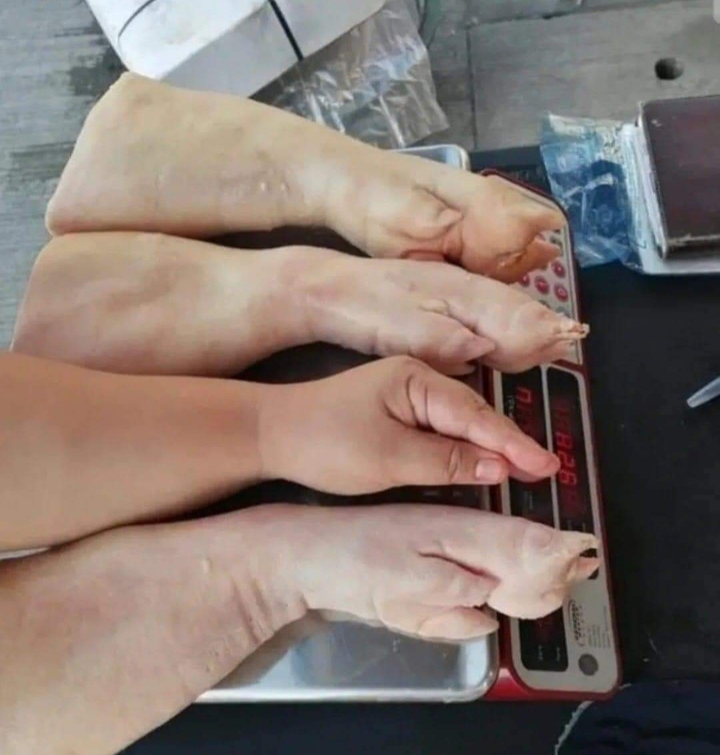 Chỉ 1 giây, đố bạn tìm được điểm 'sai sai' trong bức hình - 1