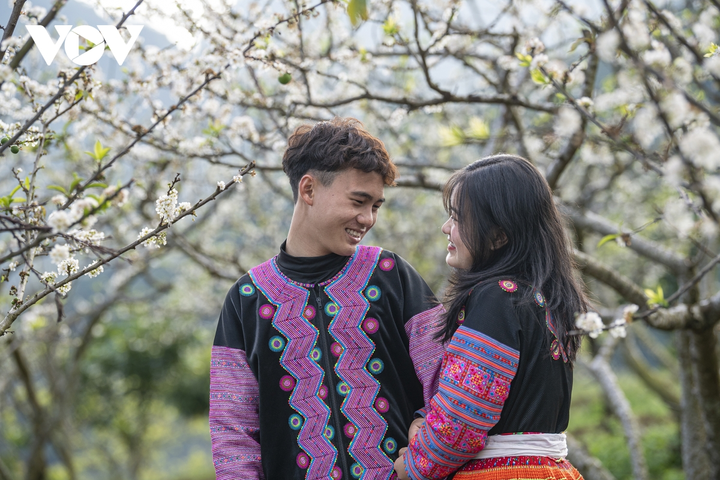 Ảnh: Độc đáo Tết truyền thống của đồng bào Mông ở Mộc Châu - 9