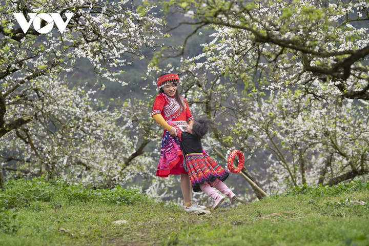 Ảnh: Độc đáo Tết truyền thống của đồng bào Mông ở Mộc Châu - 3