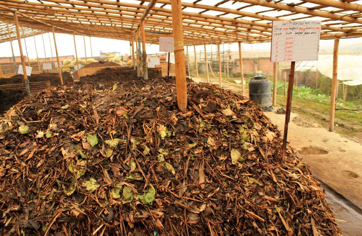 Ủ phân hữu cơ: Tốt cho cây trồng, tái chế chất thải, giảm ô nhiễm môi trường - 2