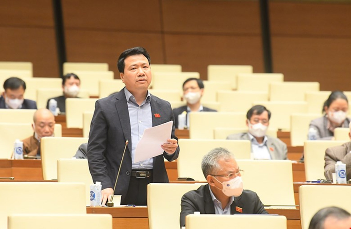 ĐBQH: Chuyển đổi đất không qua đấu giá sẽ khiến thất thu ngân sách Nhà nước - 2