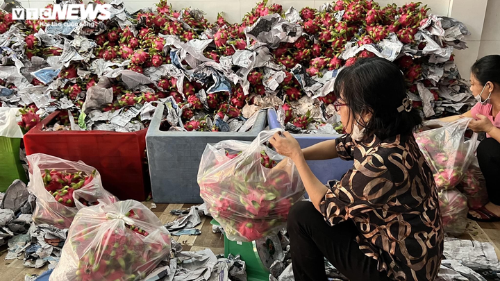 Người Sài Gòn chung tay 'giải cứu' thanh long giúp nông dân - 3