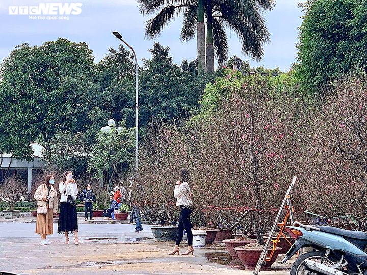 Đào, quất, bưởi Tết tràn phố Hà Nội, khách vẫn vắng bóng - 15