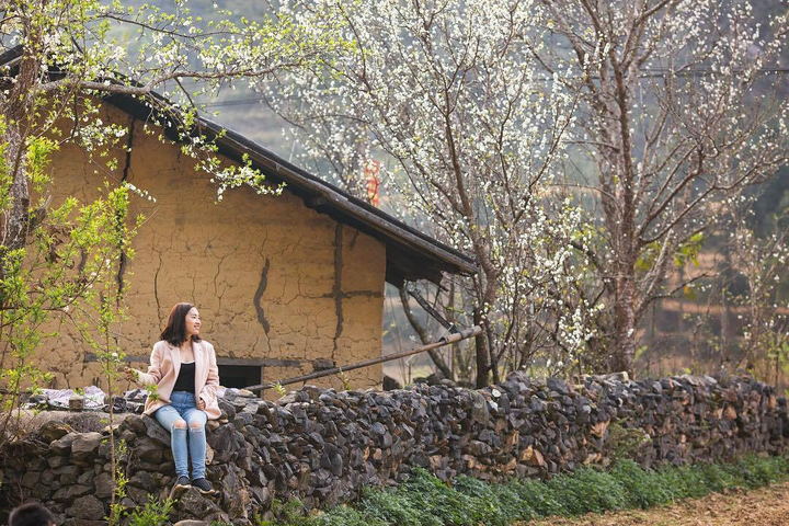 Mùa hoa: Mê mẩn ngắm ‘bông tuyết trắng’ nở rợp trời rẻo cao ảo diệu như cõi tiên - 15