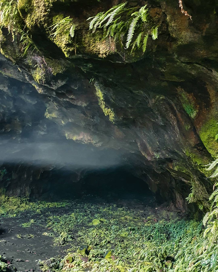 Cảnh đẹp hoang dại bên trong hang núi lửa dài nhất Đông Nam Á nằm tại Việt Nam - 3