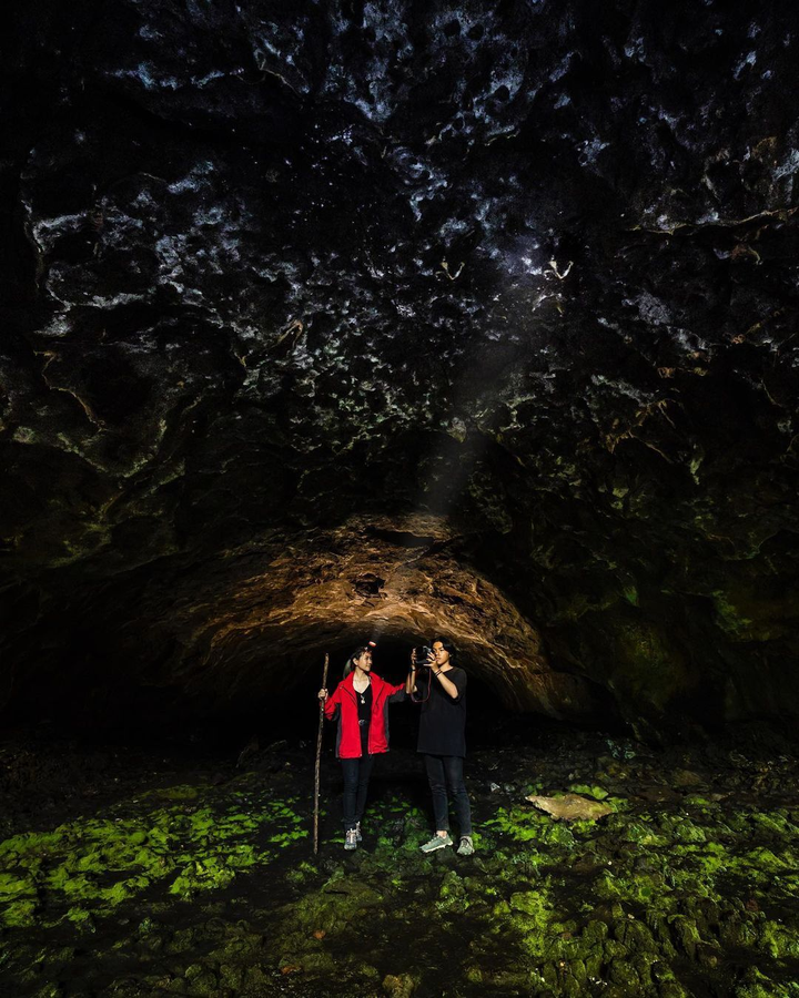 Cảnh đẹp hoang dại bên trong hang núi lửa dài nhất Đông Nam Á nằm tại Việt Nam - 13