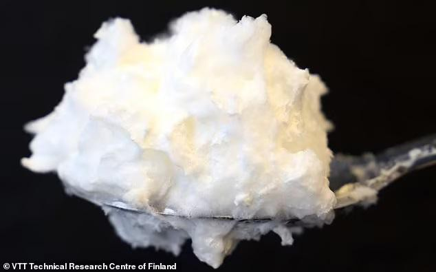 Chế tạo lòng trắng trứng từ nấm, tương lai không cần nuôi gà mái đẻ? - 1