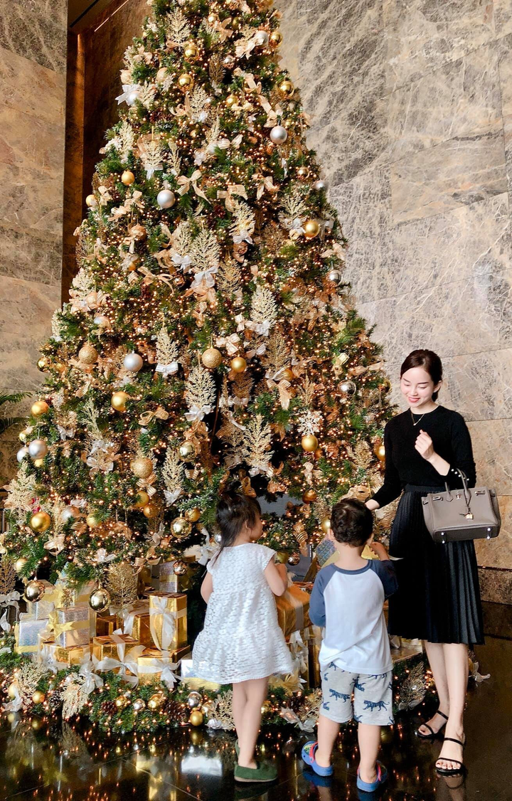 2 chị em họ Diệp Lâm Anh - Ly Kute: Xinh đẹp, giỏi giang vẫn khổ vì 1 chữ tình - 6