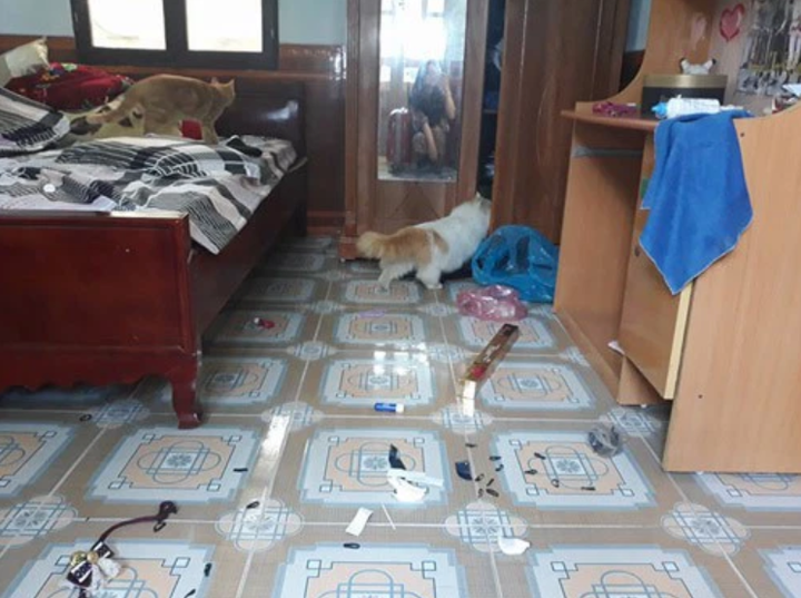 Trở lại phòng sau Tết, xỉu ngang khi thấy 'bạn trọ mới' và 'khách không mời' - 10