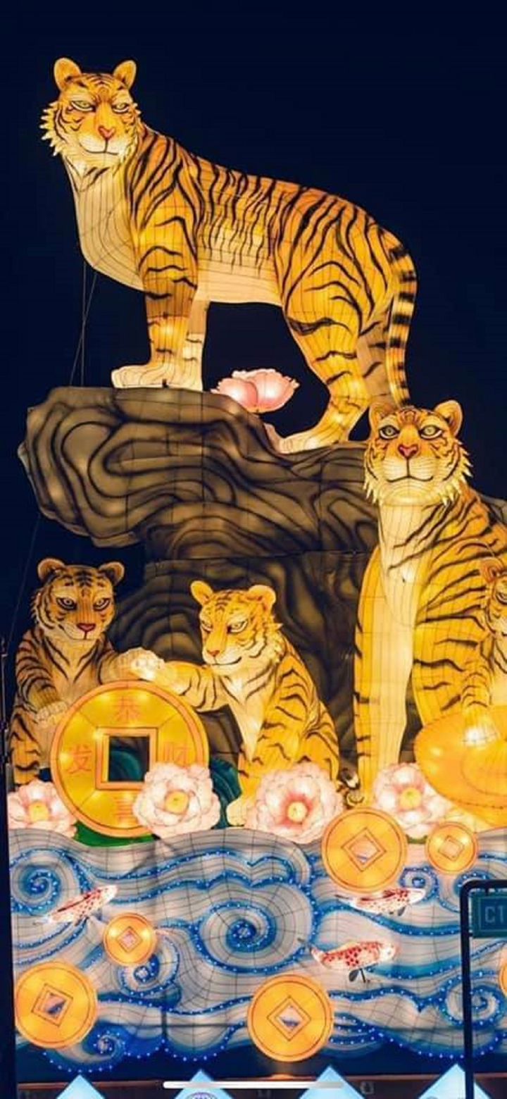 Linh vật nhà hổ rủ nhau khuấy đảo MXH, nhìn thôi là thấy xuân này cười mệt nghỉ - 7