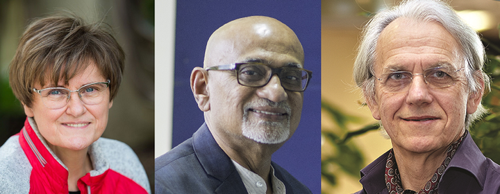 Các nhà khoa học quốc tế nói gì về giải thưởng VinFuture? - 1