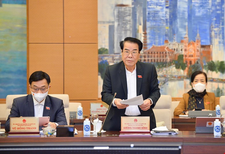 Cử tri đề nghị xử nghiêm hành vi 'thổi giá' bất động sản, 'bán chui' cổ phiếu - 1