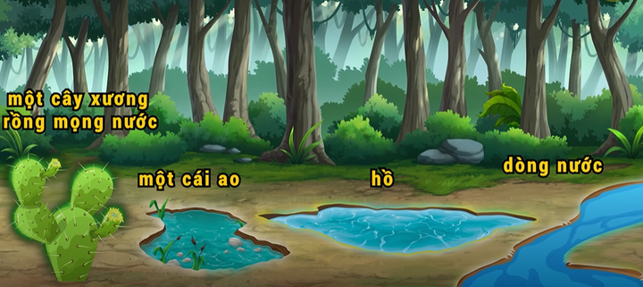 Câu đố sinh tồn: Nguồn nước nào có thể uống được? - 1