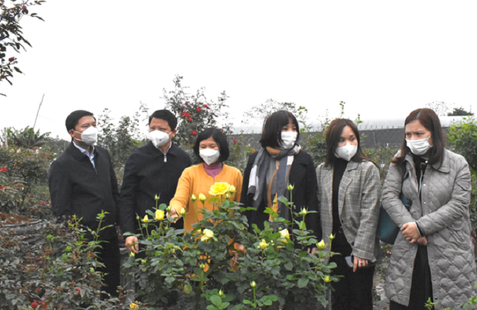 Nhiều đặc sản của huyện Mê Linh sắp xuất hiện tại WinMart/WinMart + - 4