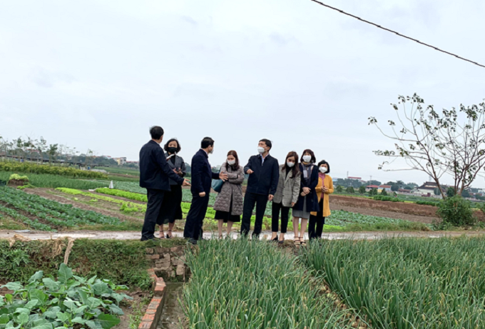 Nhiều đặc sản của huyện Mê Linh sắp xuất hiện tại WinMart/WinMart + - 5