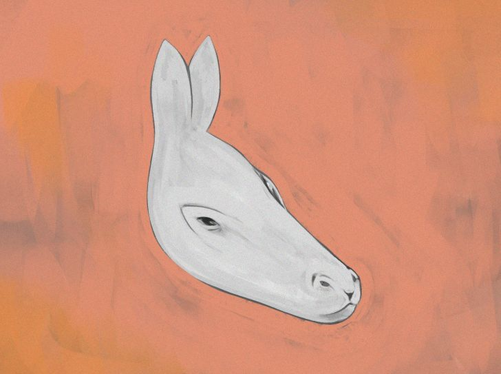 Có bao nhiêu con vật trong bức hình? - 1