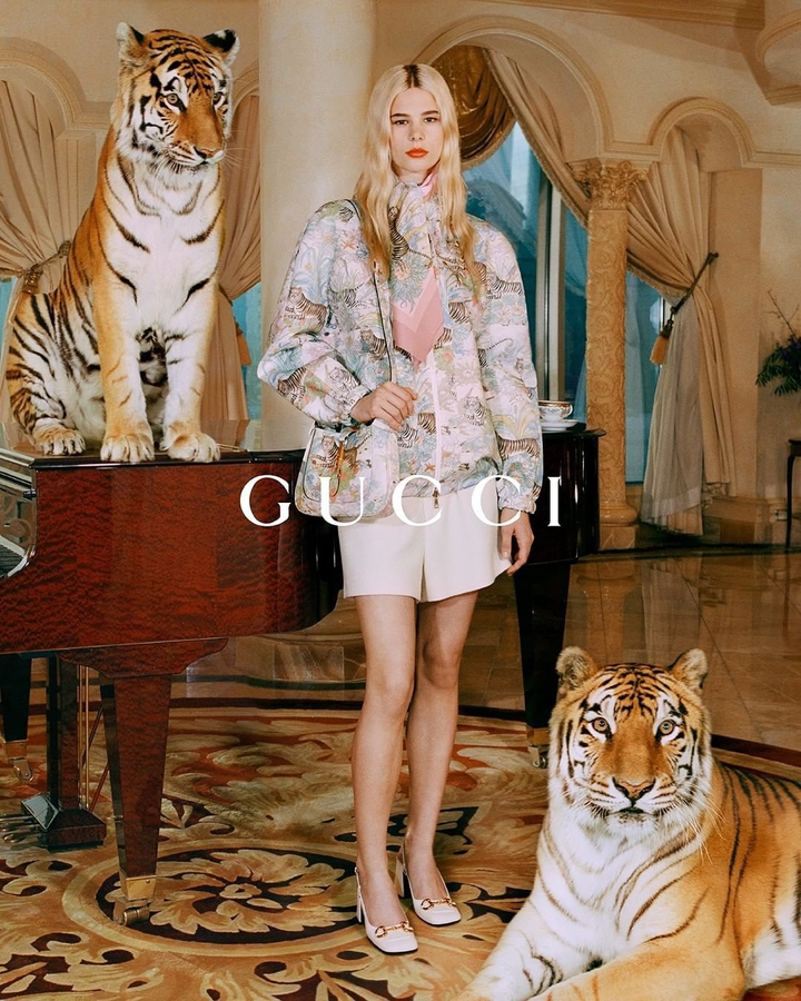 gucci dùng hổ thật quay quảng cáo ảnh 2 Dùng hổ thật để quay quảng cáo, hãng Gucci bị dân mạng chỉ trích - 2