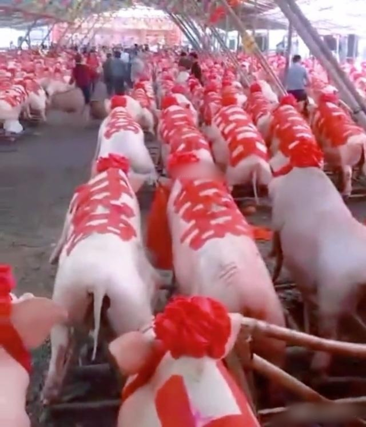 Đỡ không nổi những tình huống oái oăm diễn ra tại lễ cưới, không tin là thật - 6