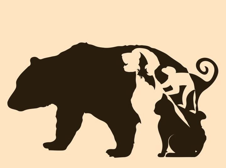 Câu đố 10 giây: Có bao nhiêu con vật trong tranh? - 1