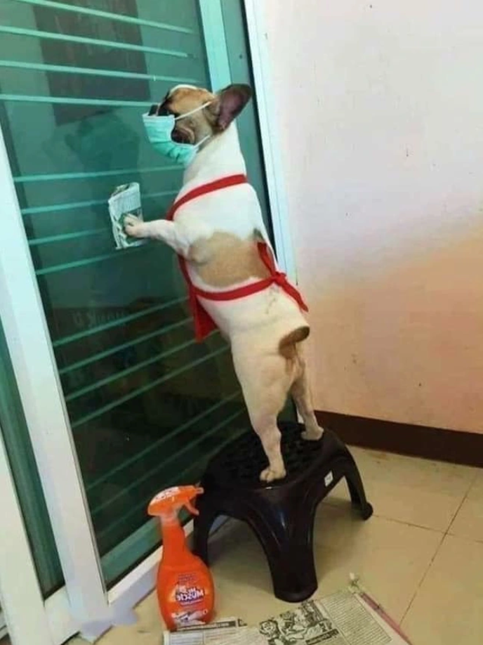 'Dở khóc dở cười' với tình hình của dân mạng và đường phố ngày giáp Tết - 7