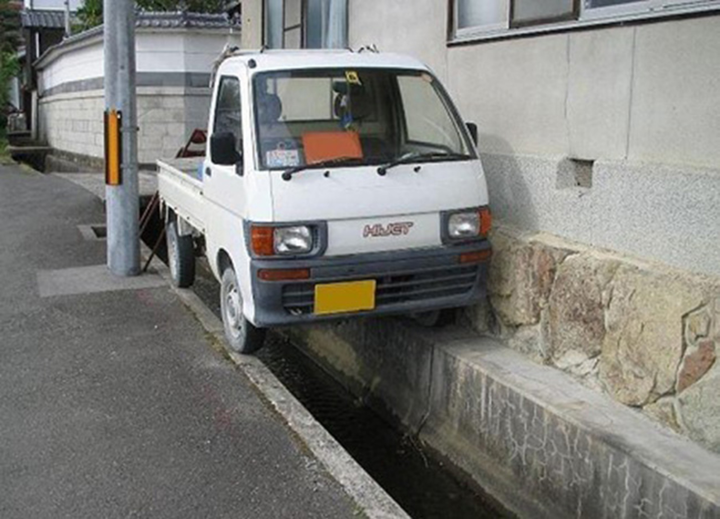 Các khoảnh khắc 'nghìn năm thấy một' biến đường phố thành 'rạp xiếc trung ương' - 10