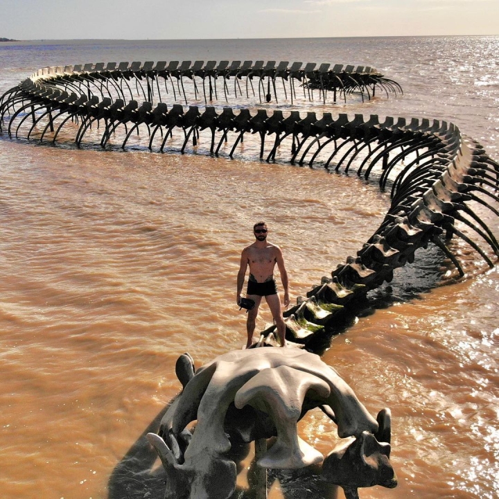 El 'esqueleto de serpiente gigante' que emerge de la playa atrae a los turistas al check-in - 5