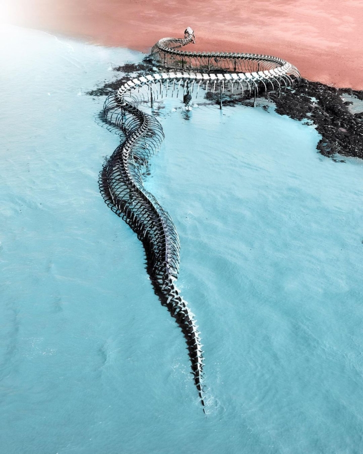 El 'esqueleto de serpiente gigante' que emerge de la playa atrae a los turistas al check-in - 4